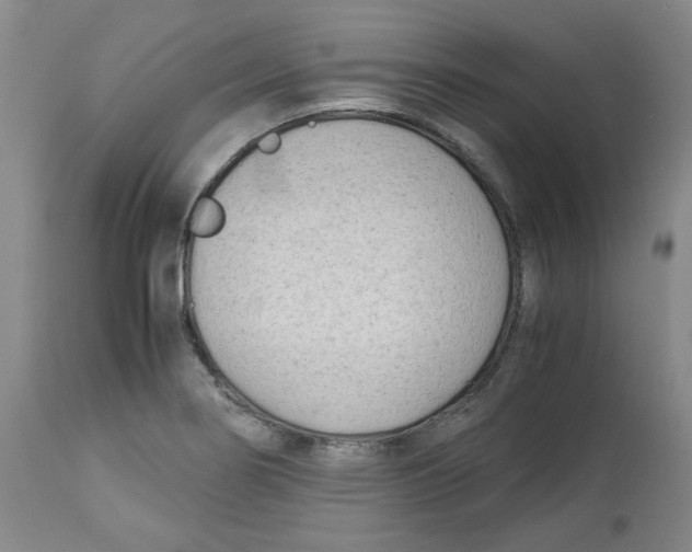 X0000113151274200910021454