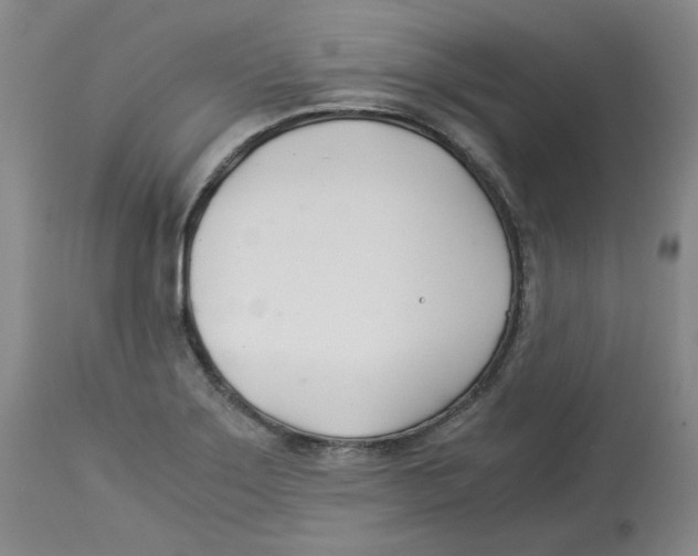 X0000113151275200910021454