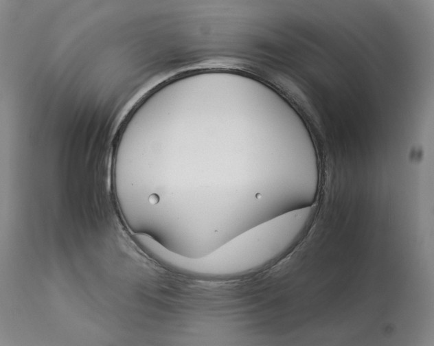 X0000113151276200910021454