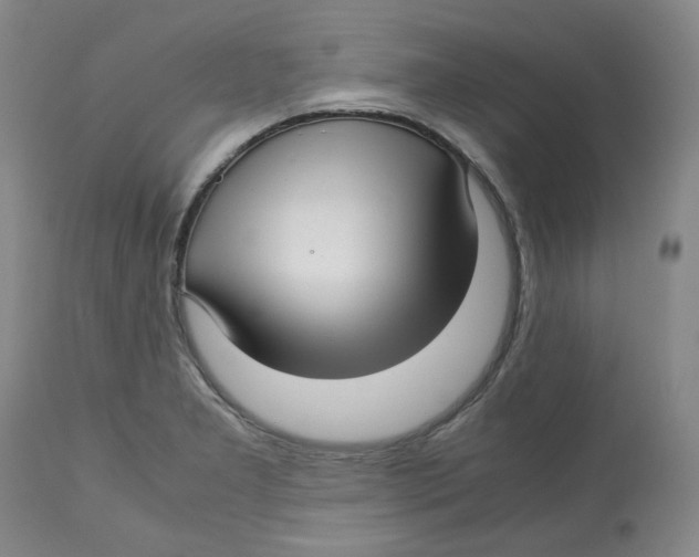 X0000113151277200910021454