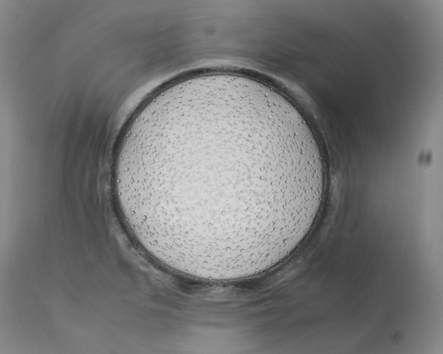 X0000113151279200910021454