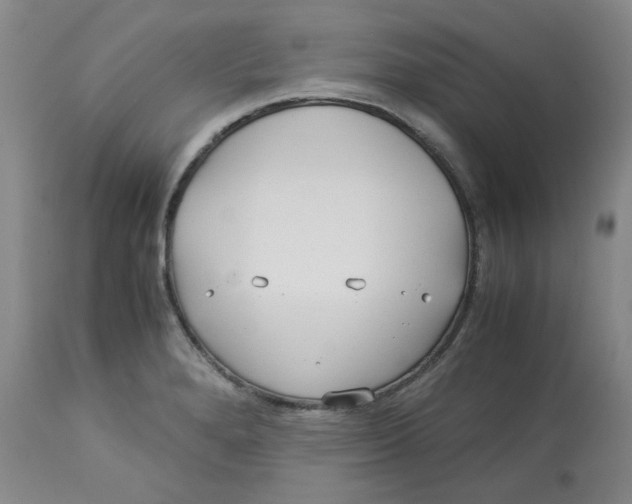 X0000113151280200910021454