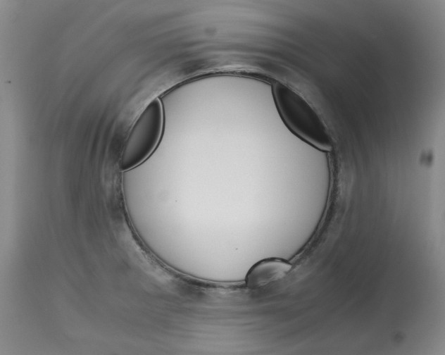 X0000113151281200910021454