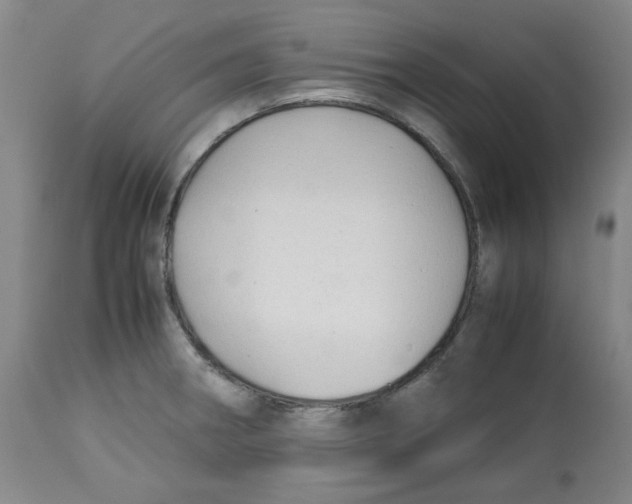 X0000113151282200910021454