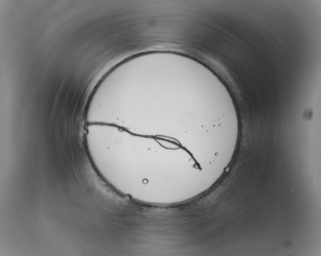 X0000113151284200910021454