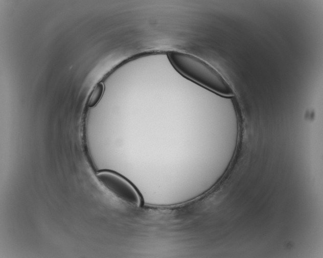 X0000113151285200910021454