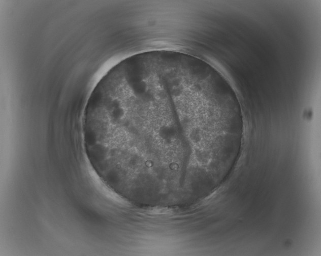 X0000113151291200910021454