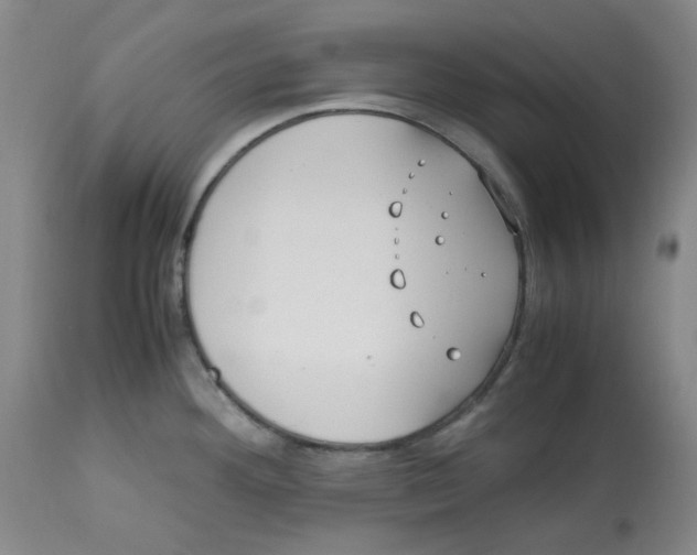 X0000113151292200910021454