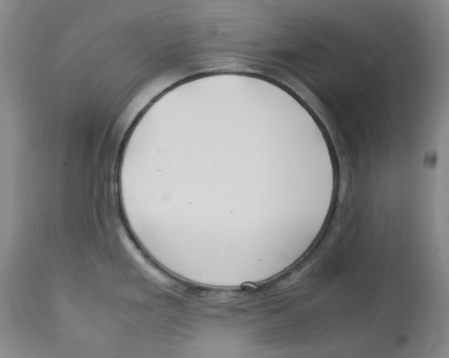 X0000113151293200910021454