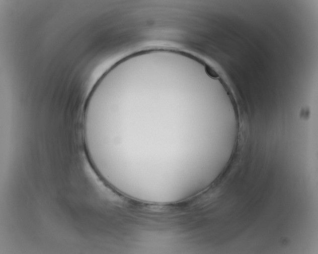 X0000113151295200910021454