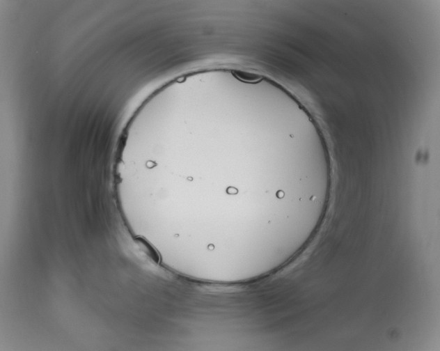 X0000113151296200910021454