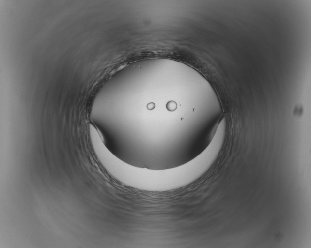 X0000113151298200910021453