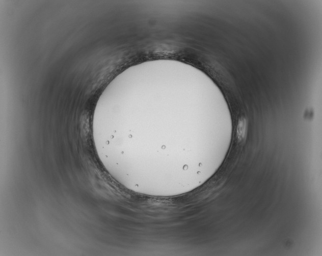 X0000113151299200910021453