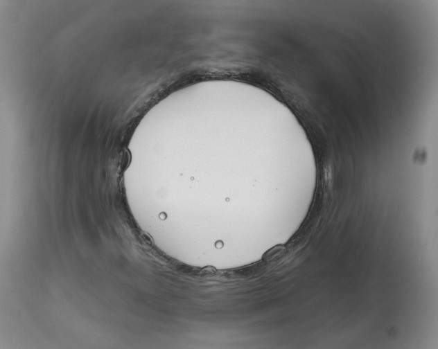 X0000113151300200910021453