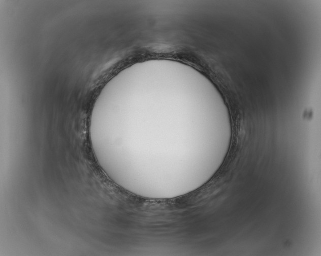 X0000113151301200910021453