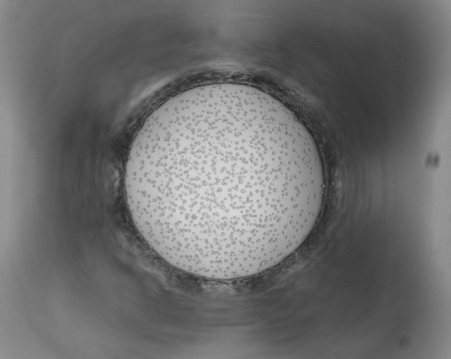 X0000113151302200910021453