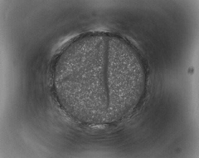 X0000113151303200910021453