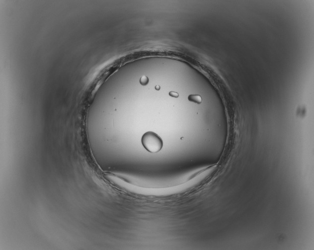 X0000113151304200910021453