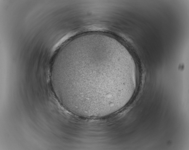 X0000113151306200910021453