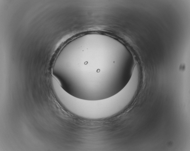 X0000113151308200910021453