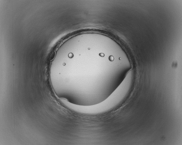 X0000113151310200910021453