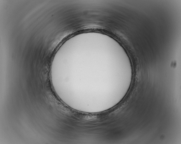 X0000113151313200910021453