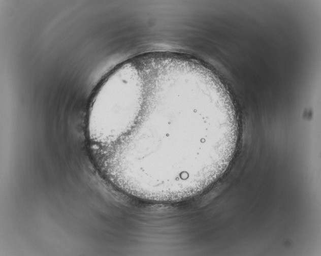 X0000113151314200910021453