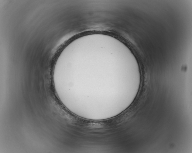 X0000113151315200910021453