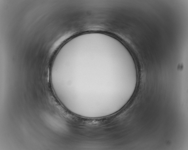 X0000113151317200910021453