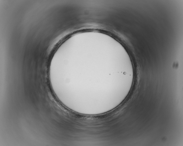 X0000113151318200910021453