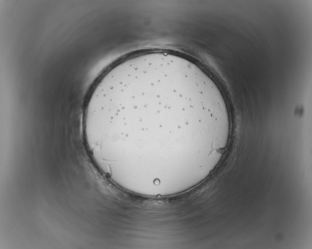 X0000113151320200910021453