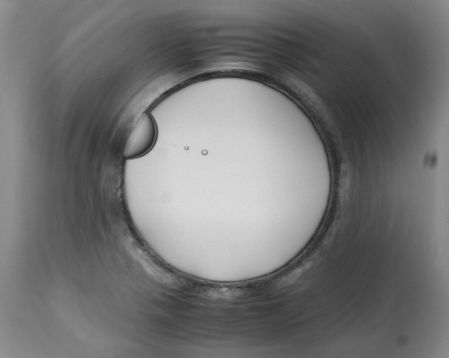 X0000113151321200910021453