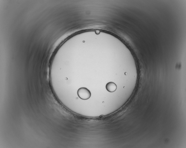 X0000113151324200910021454