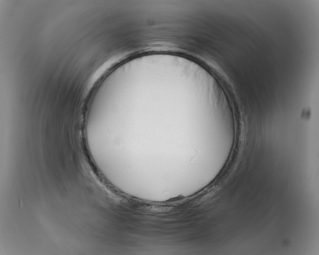 X0000113151325200910021454