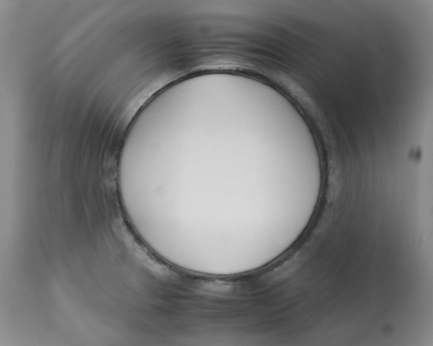 X0000113151329200910021454