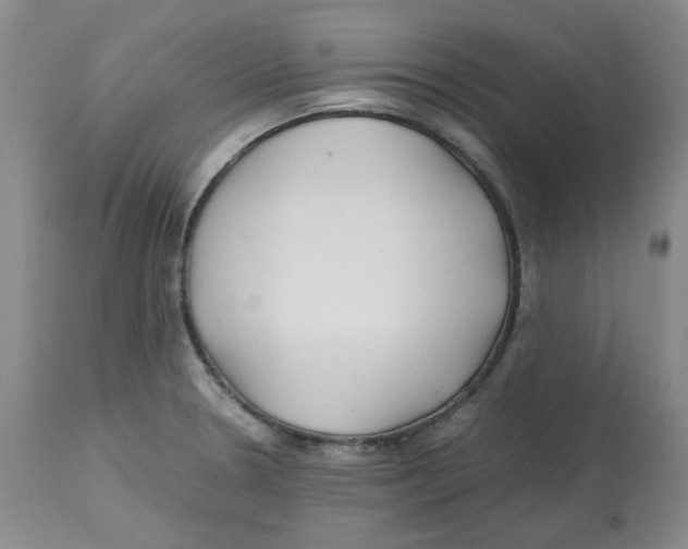 X0000113151330200910021454