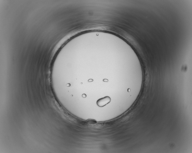 X0000113151332200910021454