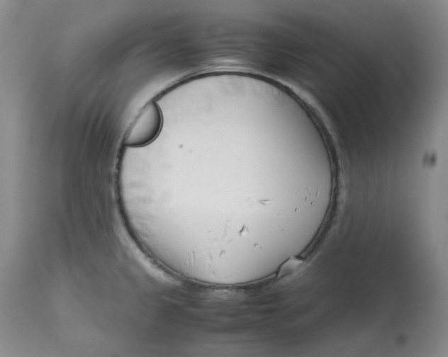 X0000113151333200910021454