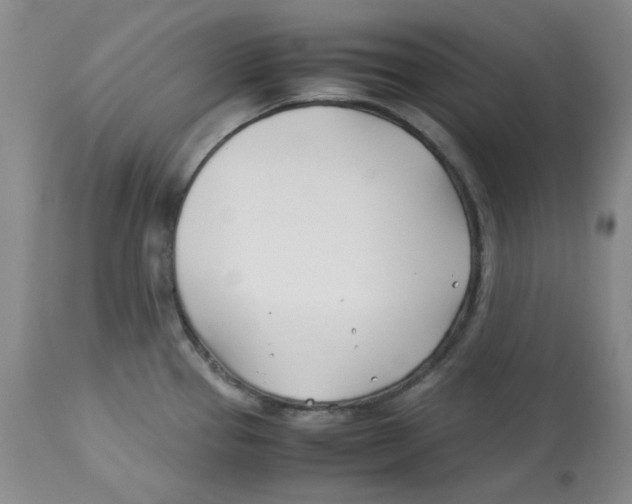 X0000113151337200910021454