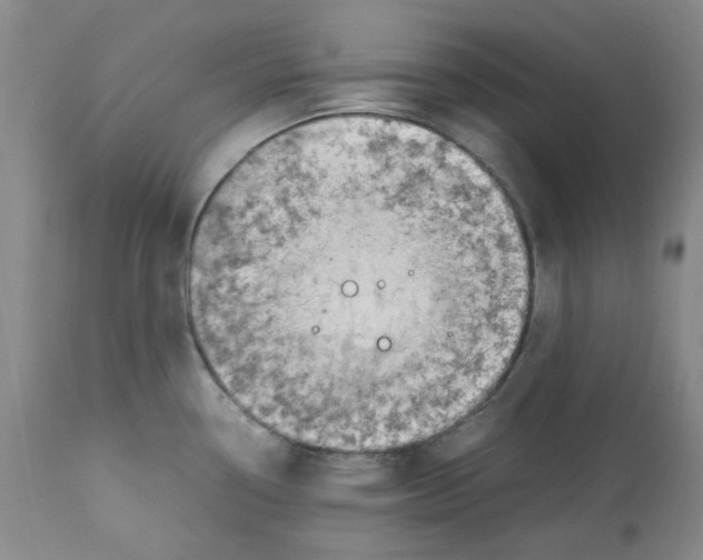 X0000113151338200910021454