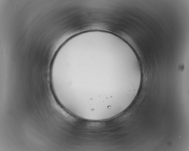 X0000113151339200910021454