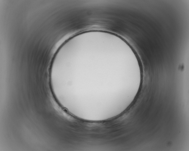 X0000113151341200910021454