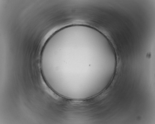 X0000113151342200910021454