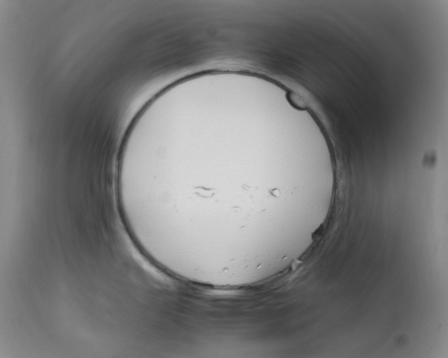 X0000113151343200910021454