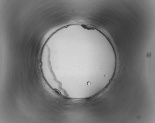 X0000113151344200910021454