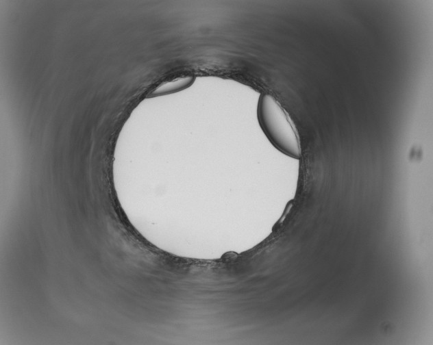 X0000113151345200910021453