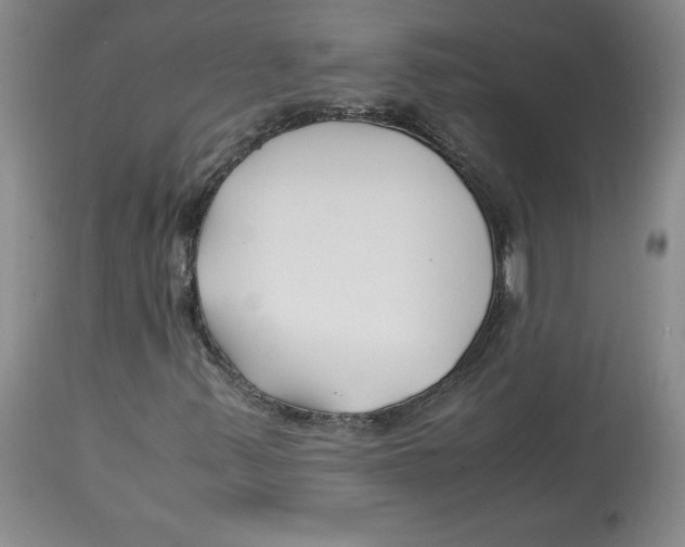 X0000113151347200910021453