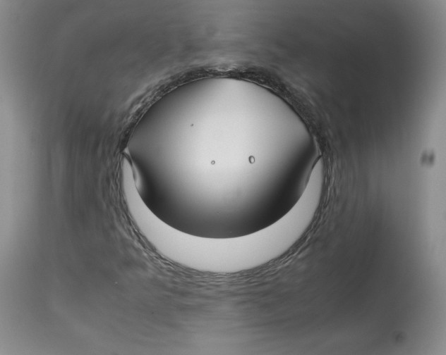 X0000113151349200910021453