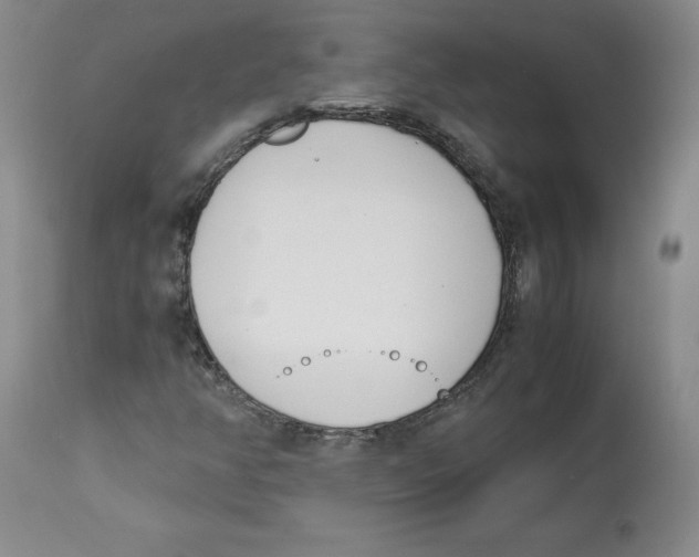 X0000113151350200910021453