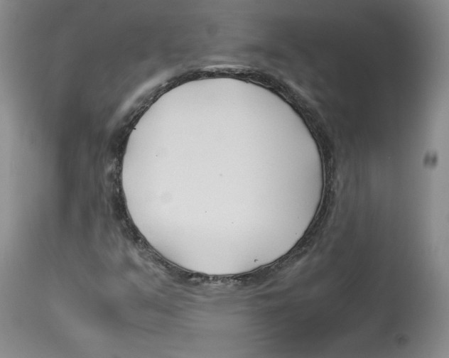 X0000113151351200910021453